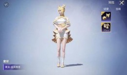 和平精英大转盘女团最新爆料,神秘阵容曝光，精彩活动即将开启！