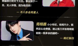 吃瓜娱乐全网收集,吃瓜娱乐，揭秘娱乐圈幕后故事